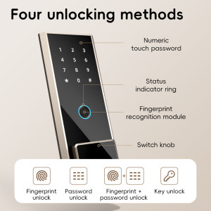 Deli ET595 Fingerprint Password Safe Box
