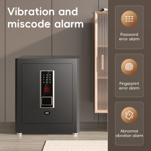 Deli ET595 Fingerprint Password Safe Box